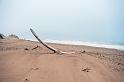 20090605_154413 D3 X1